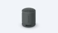 Sony SRS-XB100 (Image via Sony)
